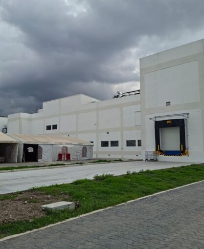 bayer 13 (3)